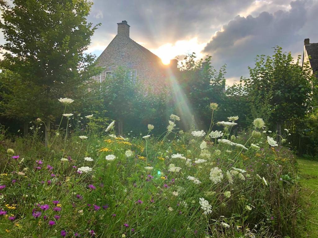 B&B Helena'S Hoeve Buggenum Exteriör bild